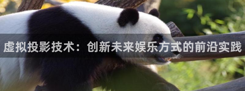 大香樵伊人影院