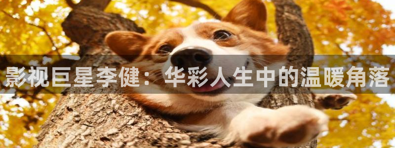 韩国伊人影院