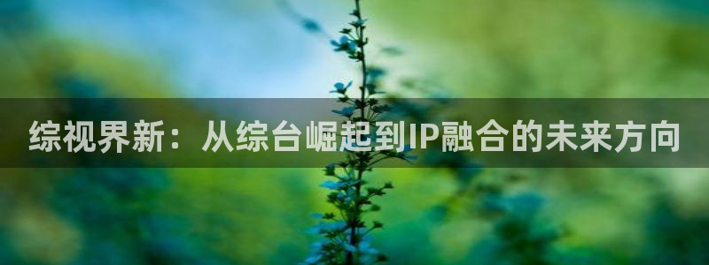 伊人yy影院